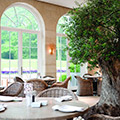 Image for Plot to Plate for Two